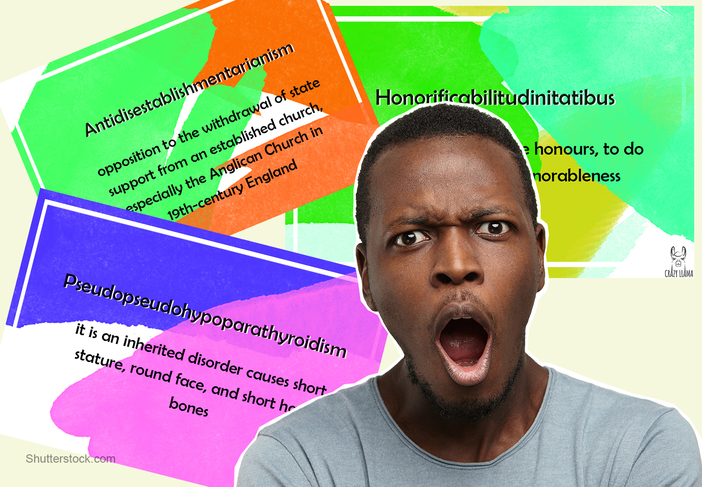 10 long words in english really looooooong crazy llama